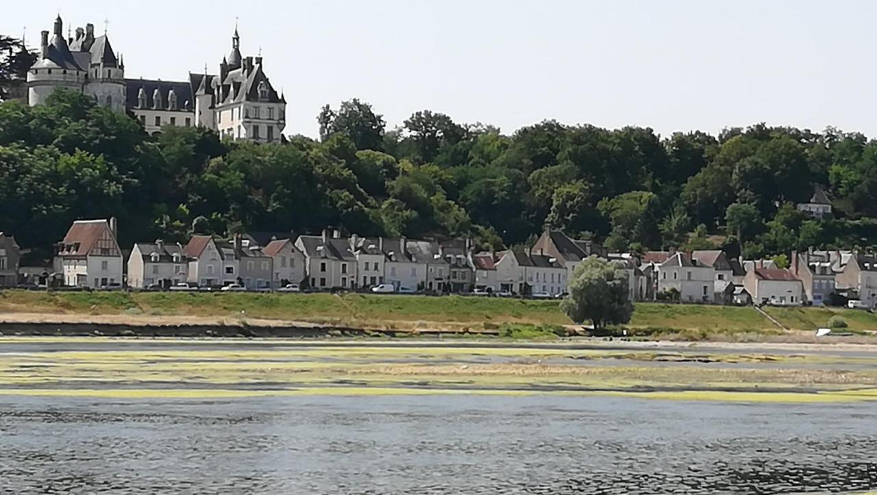 Villa Eugenie Onzain Exteriör bild